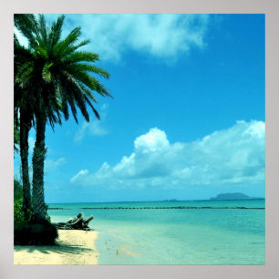 Hawaii Landschaftlich Tropical Beach Poster