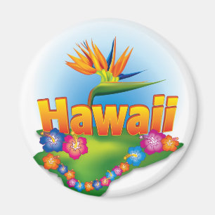 Hawaii-Magnet-Entwurf Magnet