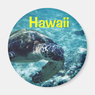 Hawaii-Magnet Magnet