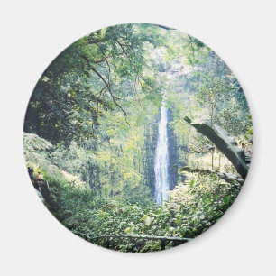 Hawaii-Magnet Magnet