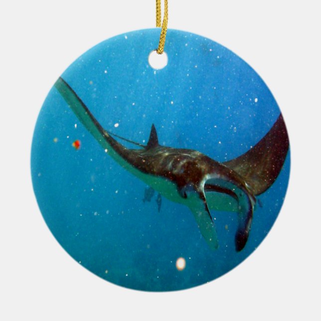 Hawaii Manta Ray Keramik Ornament (Vorne)
