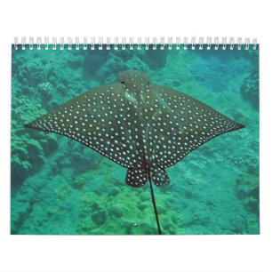 Hawaii-Mantarochen, -aale und -krake Kalender