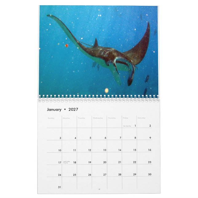 Hawaii-Mantarochen, -aale und -krake Kalender (Jan 2027)