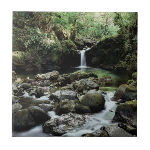 Hawaii, Maui, Ein Wasserfall fließt in den blauen  Fliese