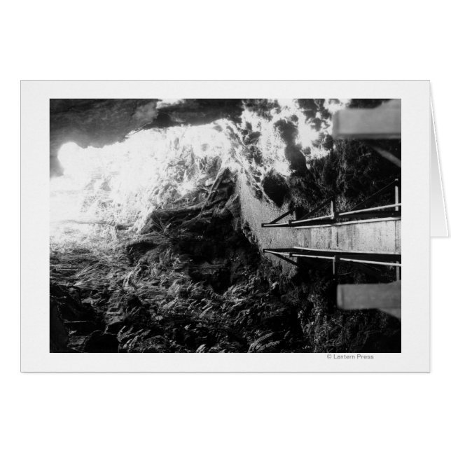 Hawaii Nationalpark, Blick auf eine Lava Tube (Vorderseite (Horizontal))