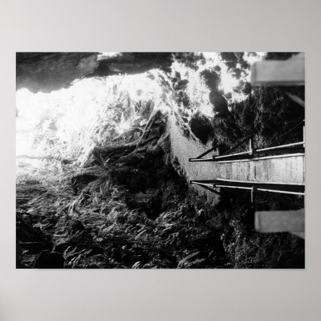 Hawaii Nationalpark, Blick auf eine Lava Tube Poster (Vorne)