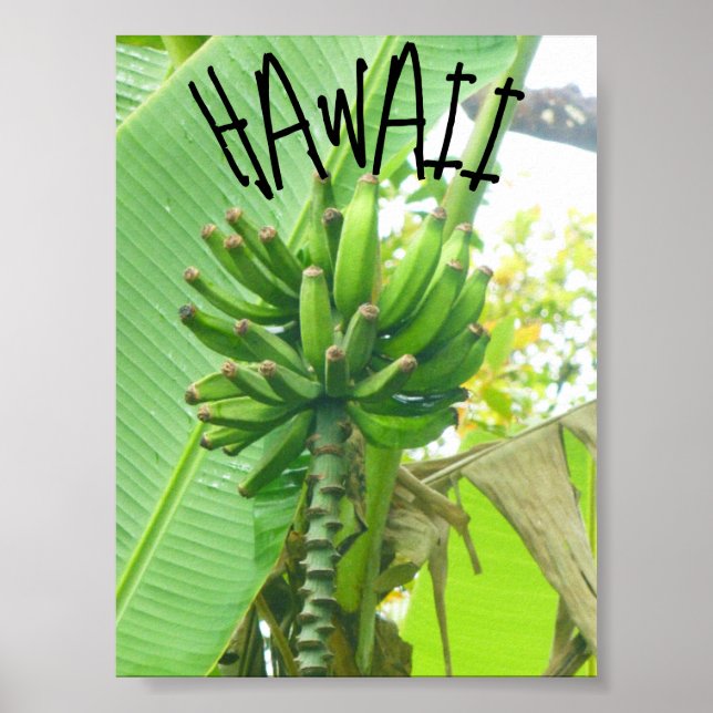 HAWAII NATUR POSTER (Vorne)