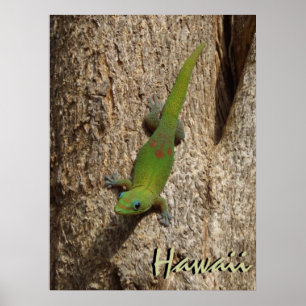 Hawaii niedliches Gecko-Außenposter Poster
