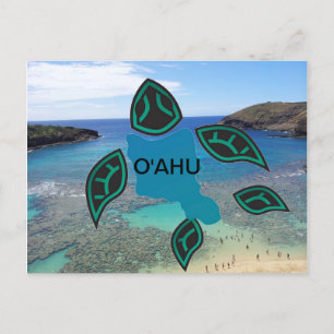 Hawaii Oahu Insel Schildkröte Postkarte