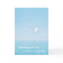 Hawaii Ocean Bird Flying