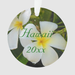Hawaii Ornament