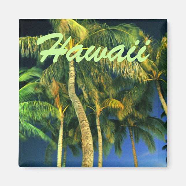 Hawaii Palm Tree Magnet (Vorne)