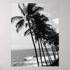 Hawaii Palm Trees Poster