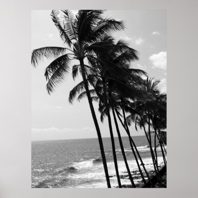 Hawaii Palm Trees Poster (Vorne)