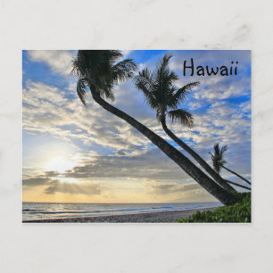 Hawaii Palms Postcard Postkarte