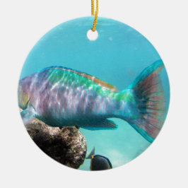 Hawaii-Papageien-Fische Keramik Ornament