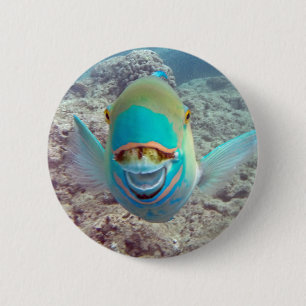 Hawaii Parrot Fish Button