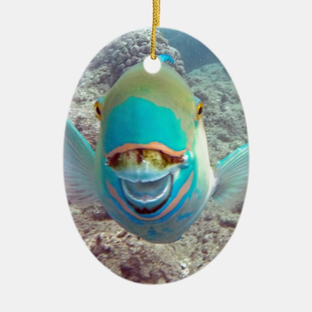 Hawaii Parrot Fish Keramik Ornament (Vorne)