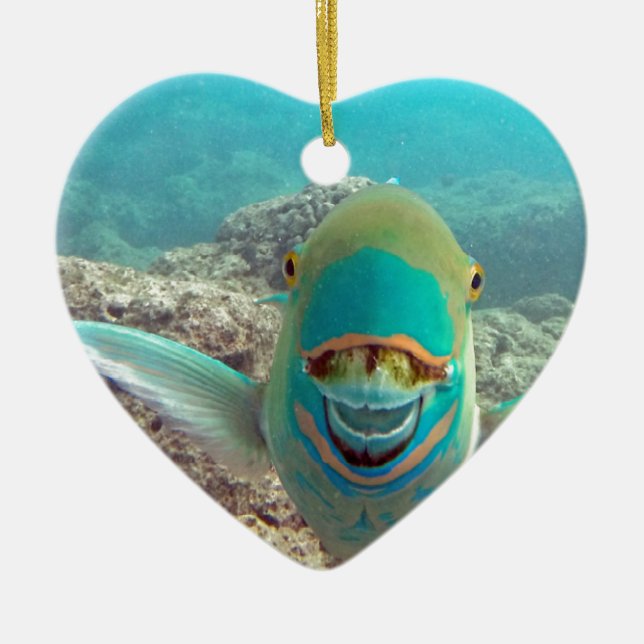 Hawaii Parrot Fish - Uhu Keramik Ornament (Vorne)