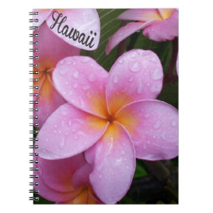 Hawaii Pink Plumeria Blume Notizblock