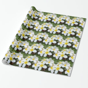 Hawaii Plumeria Blume Geschenkpapier