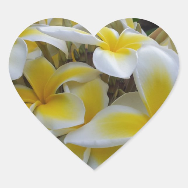 Hawaii Plumeria Blume Herz-Aufkleber (Vorderseite)
