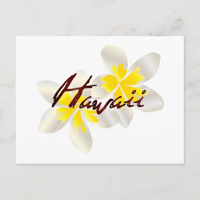 Hawaii Plumeria Blume Postkarte (Vorderseite)