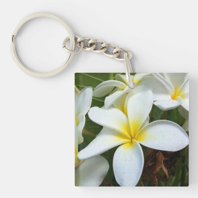 Hawaii Plumeria Blume Schlüsselanhänger (Vorderseite)