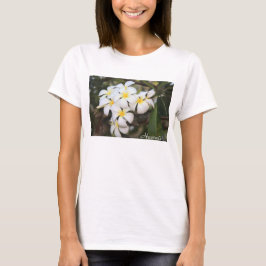 Hawaii, Plumeria, Weiße Blume zum T - Shirt der Fr
