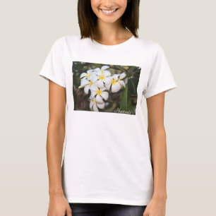 Hawaii, Plumeria, Weiße Blume zum T - Shirt der Fr