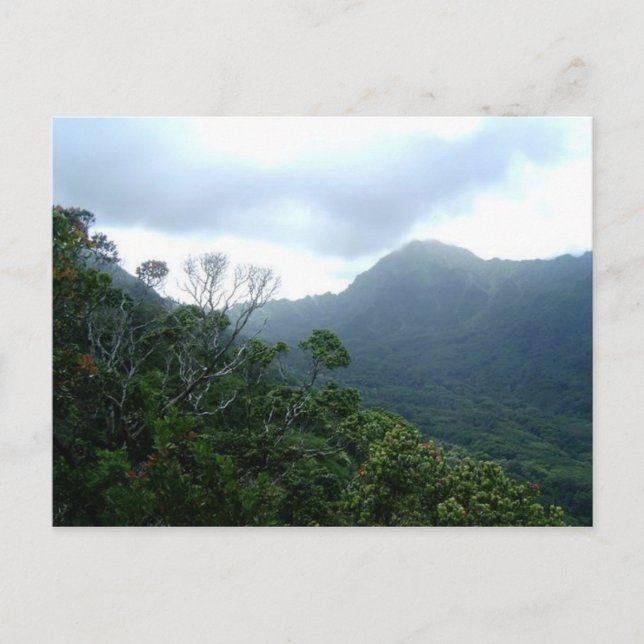 Hawaii Postcard Scene1 Postkarte (Vorderseite)