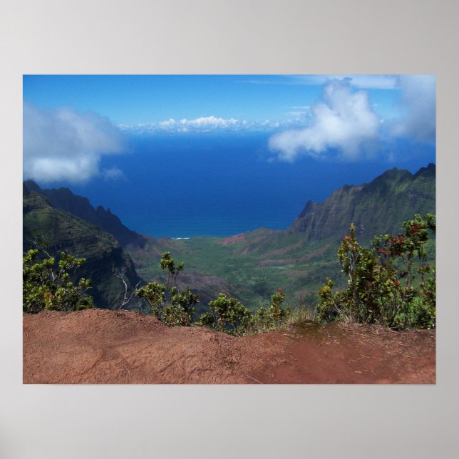 Hawaii Poster (Vorne)