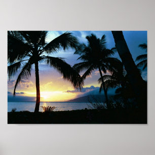 Hawaii Poster