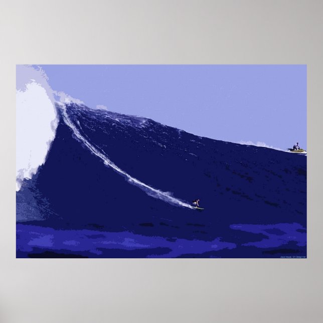 Hawaii Poster (Vorne)