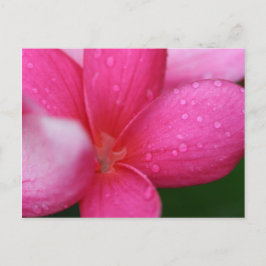 Hawaii Postkarte