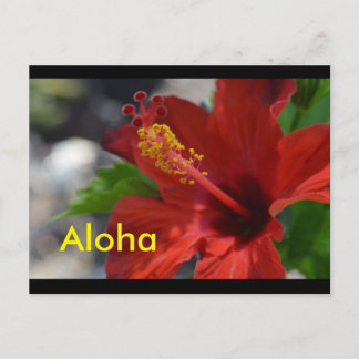 Hawaii Postkarten