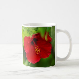 Hawaii Red Hibiskus Blume Tasse