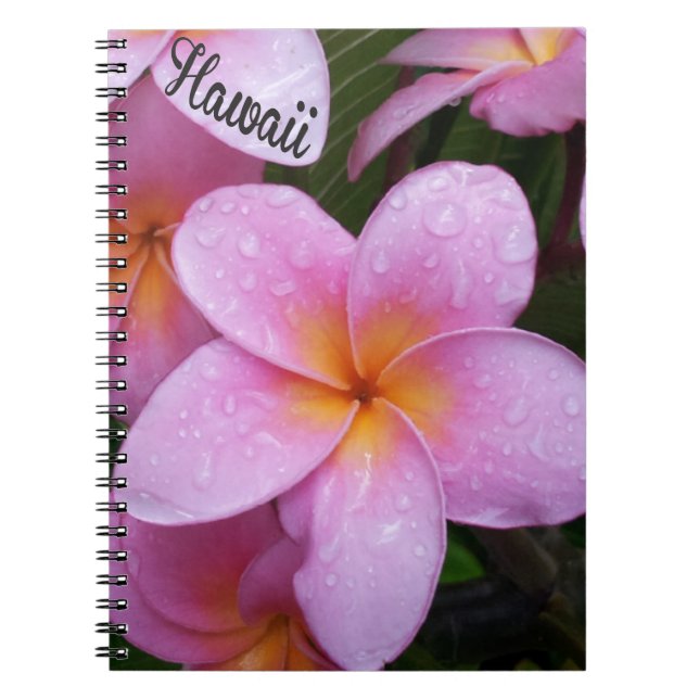 Hawaii rosa Plumeria-Blumen Notizblock (Vorderseite)