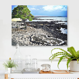 Hawaii Schwarze Sandstrand Korallenliebesherz Foto Leinwanddruck