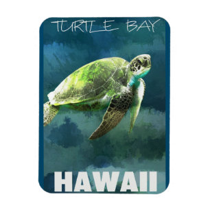 Hawaii Sea Turtle Artistic Magnet