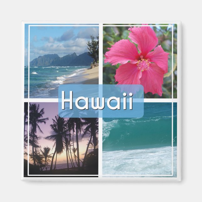 Hawaii Seascape Magnet (Vorne)