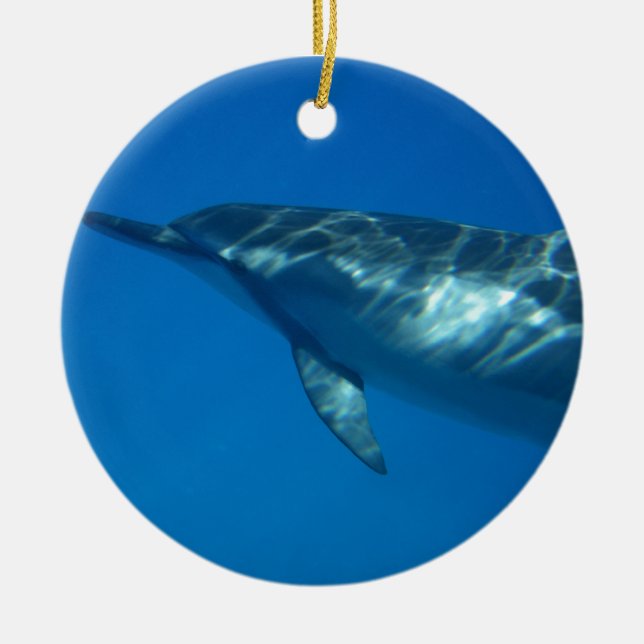 Hawaii-Spinner-Delphin Keramik Ornament (Vorne)
