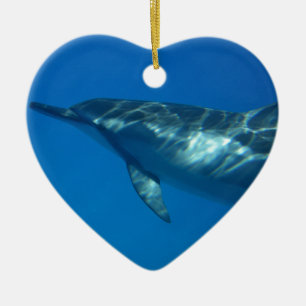 Hawaii Spinner Dolphin Keramik Ornament