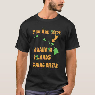 Hawaii Spring Break 2025 Strand Familie Passende F T-Shirt