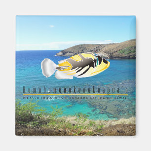 Hawaii Staat Fish - Humuhumunukunukuapua'a. Magnet
