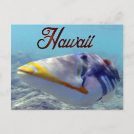 Hawaii Staat Fish - Humuhumunukunukuapua'a Postkarte