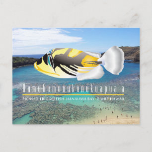 Hawaii Staat Fish - Humuhumunukunukuapua'a Postkarte