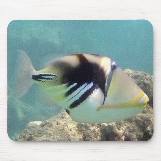 Hawaii-Staats-Fische - Humuhumunukunukuapua'a Mousepad (Vorne)