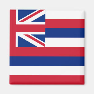 Hawaii-Staats-Flagge Magnet