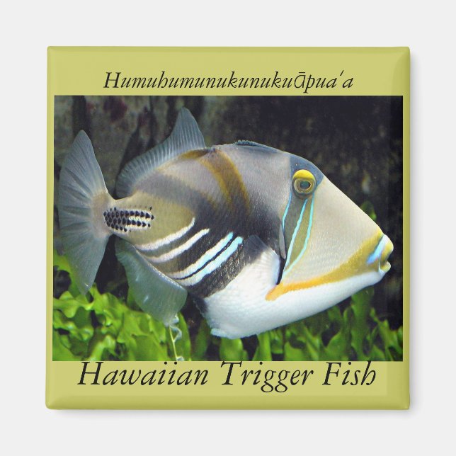 Hawaii Staatsfisch Magnet (Vorne)